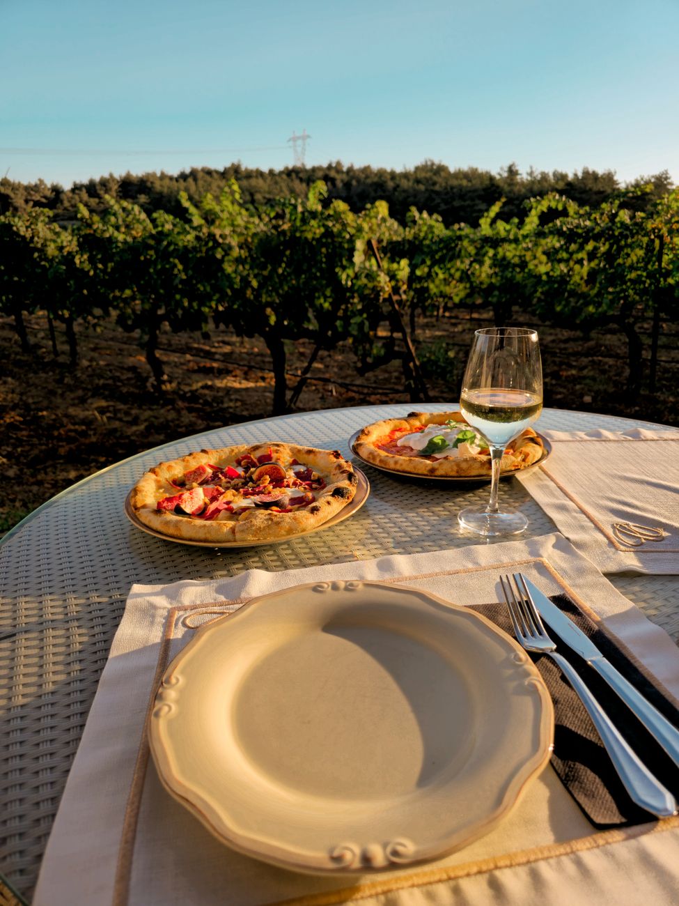 Culinary table in Southern France