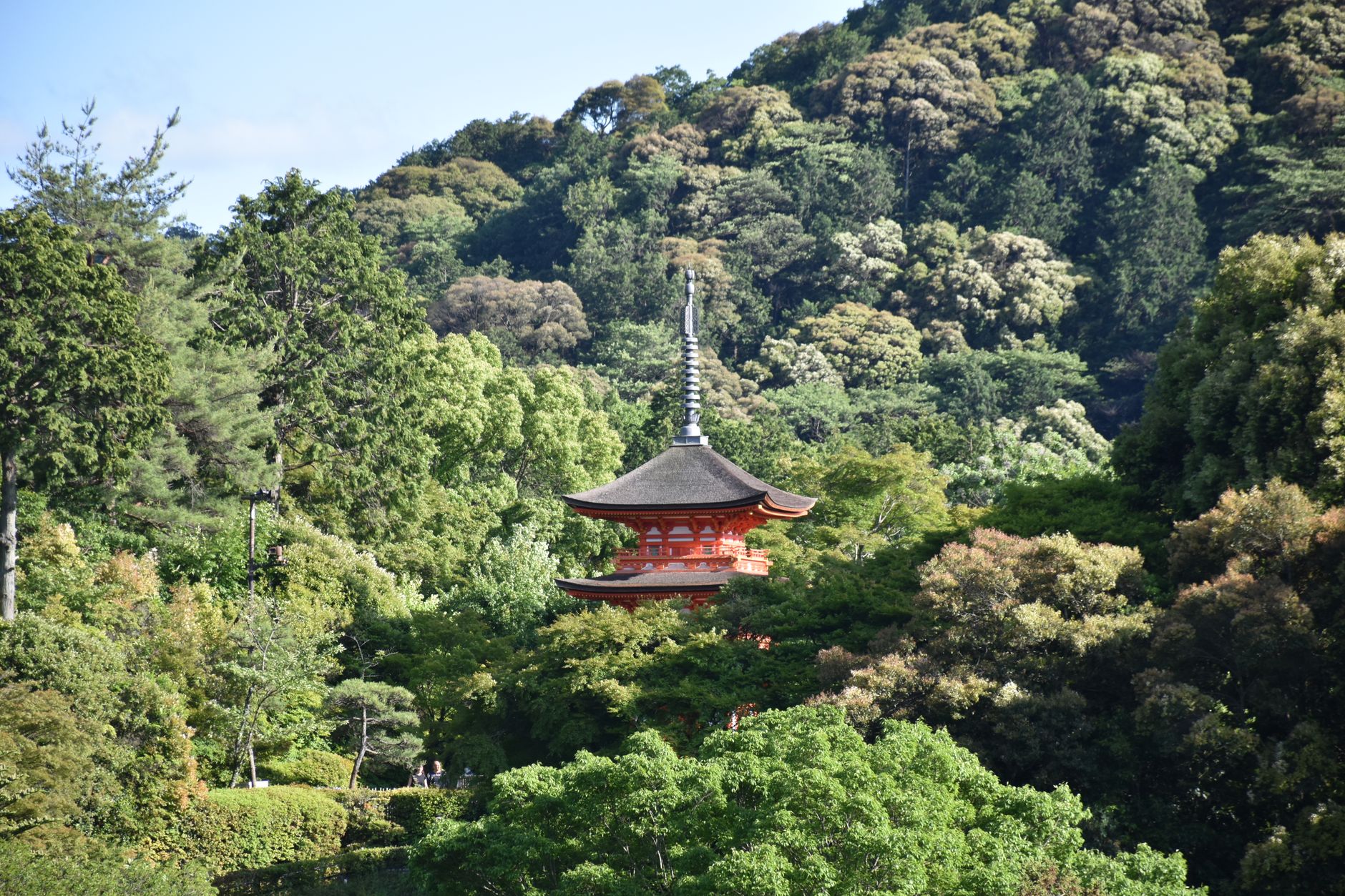 Kyoto Japan historic temple